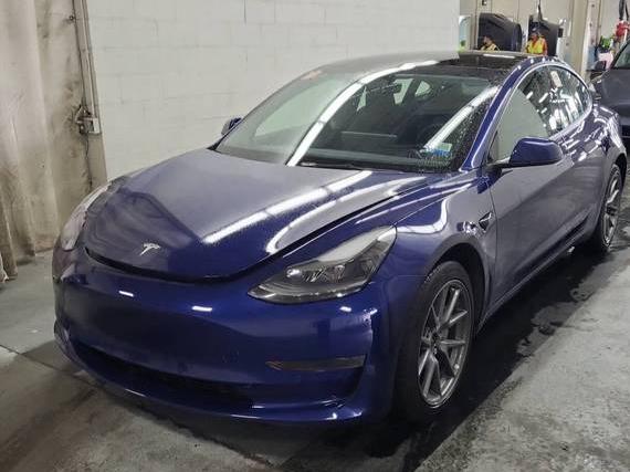 TESLA MODEL 3 2022 5YJ3E1EA9NF333876 image